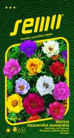 Šrucha velkokvětá (Portulaca grandiflora) Plnokvětá